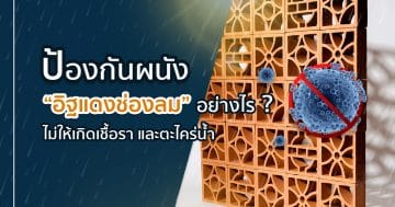 ป้องกันผนังอิฐแดงช่องลมอย่างไรไม่ให้เกิดเชื้อรา และตะไคร่น้ำ