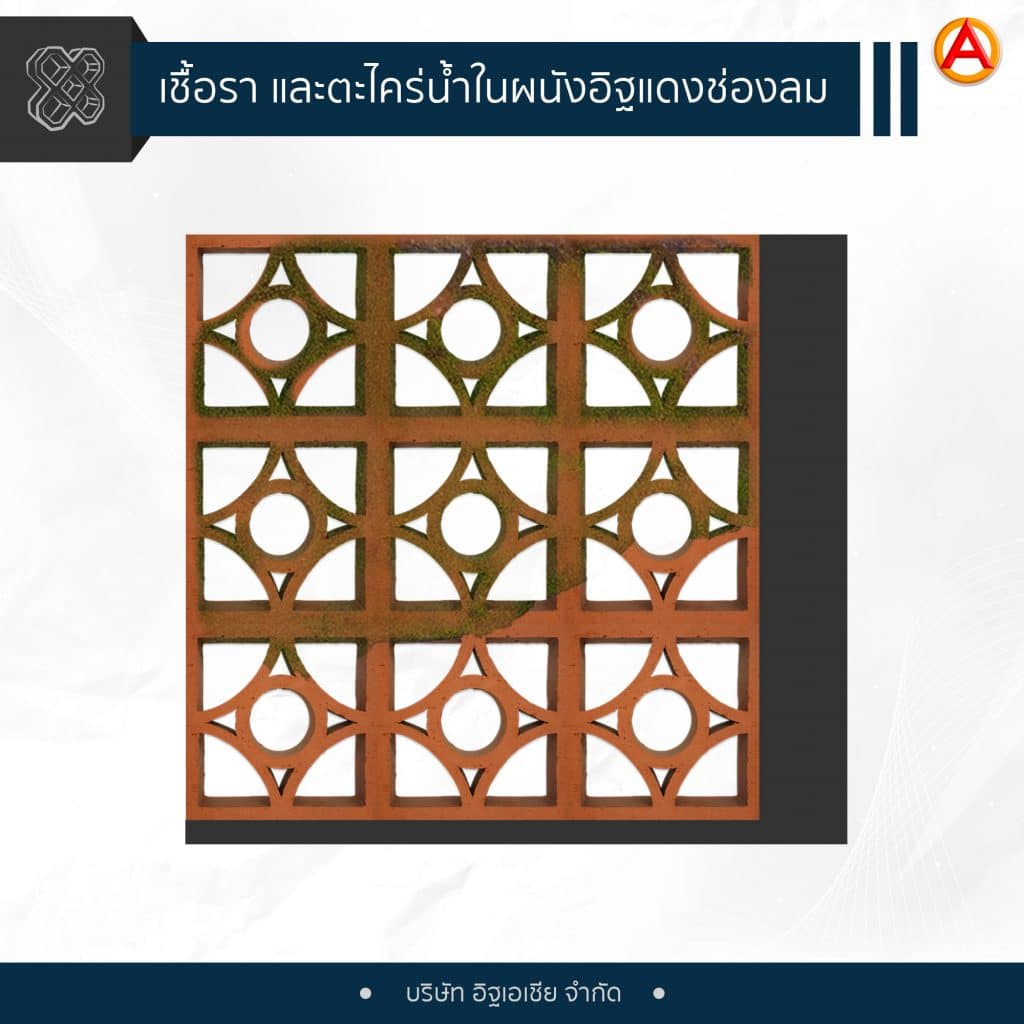 ป้องกันผนังอิฐแดงช่องลมอย่างไรไม่ให้เกิดเชื้อรา และตะไคร่น้ำ