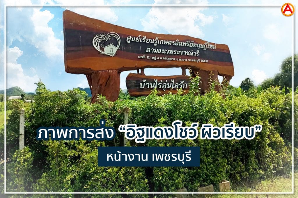 อิฐแดงโชว์